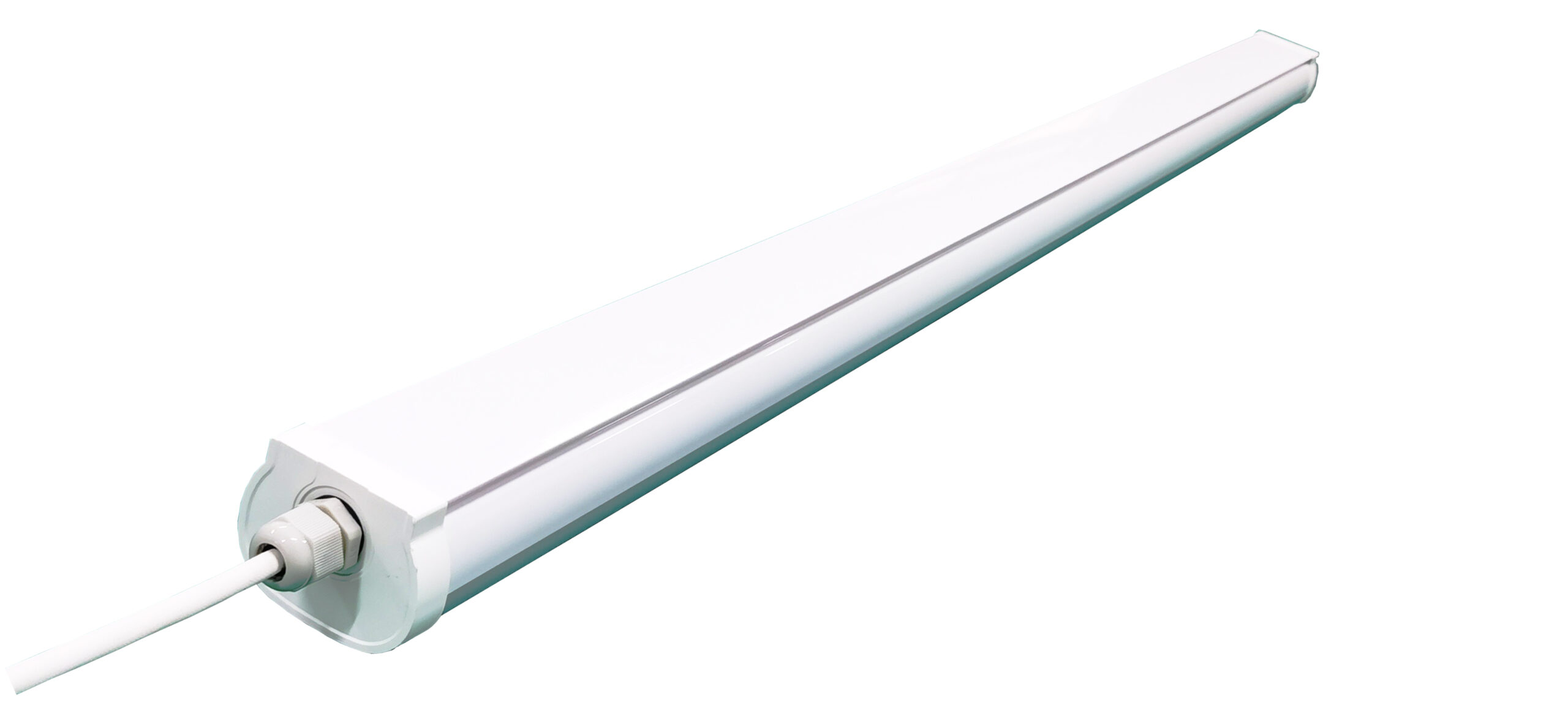 Image_20231106064742